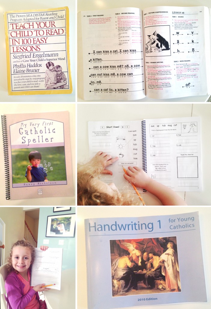 homeschooling books2-thebusybudgetingmama