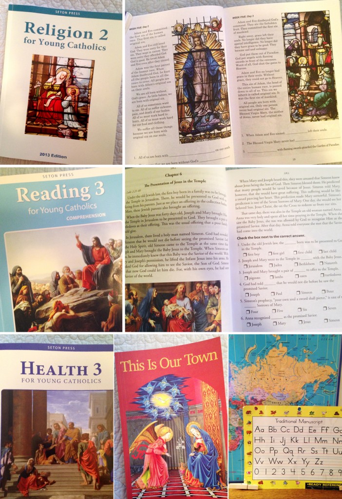homeschooling books4-thebusybudgetingmama