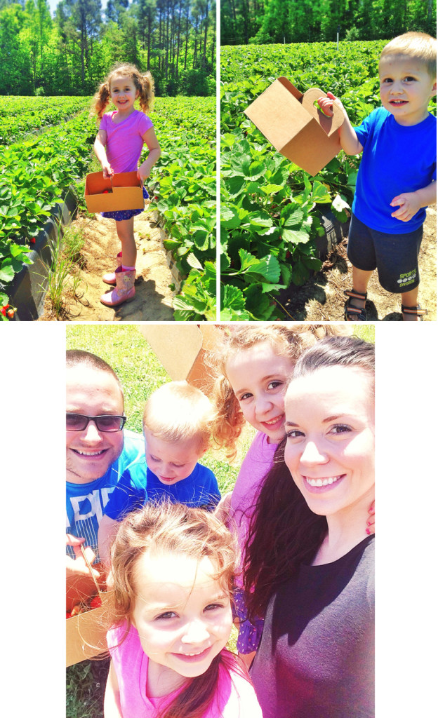 strawberrypicking3-thebusybudgetingmama