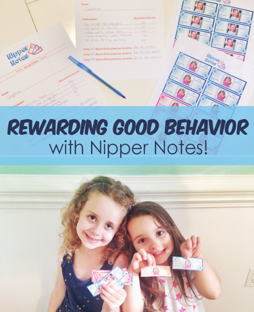 NipperNotes-TheBusyBudgetingMama