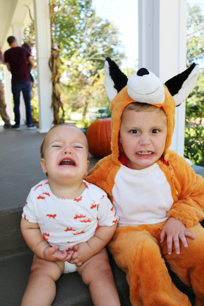 asher-woodland-themed-first-birthday-fox3