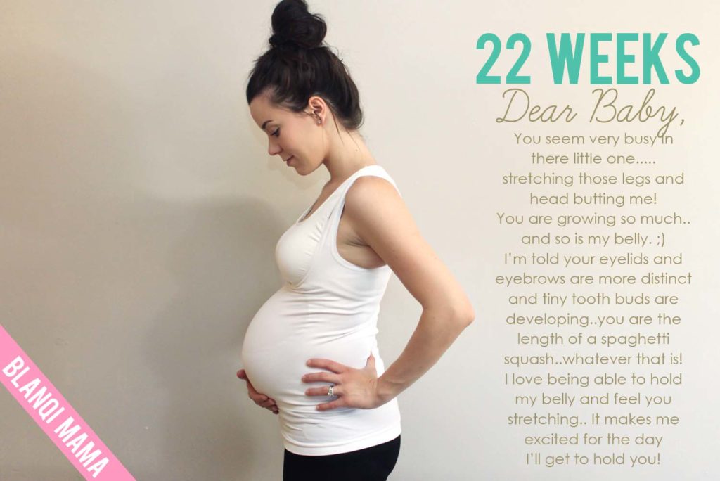 baby-book-22-weeks